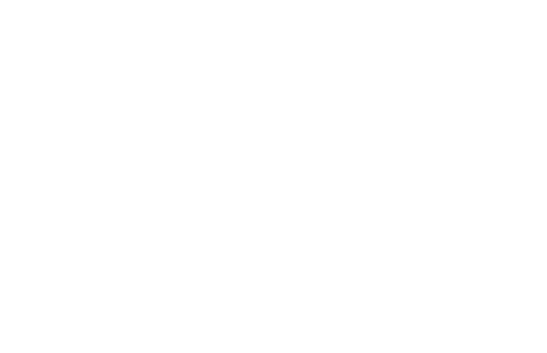 Correct, updated white PYA logo